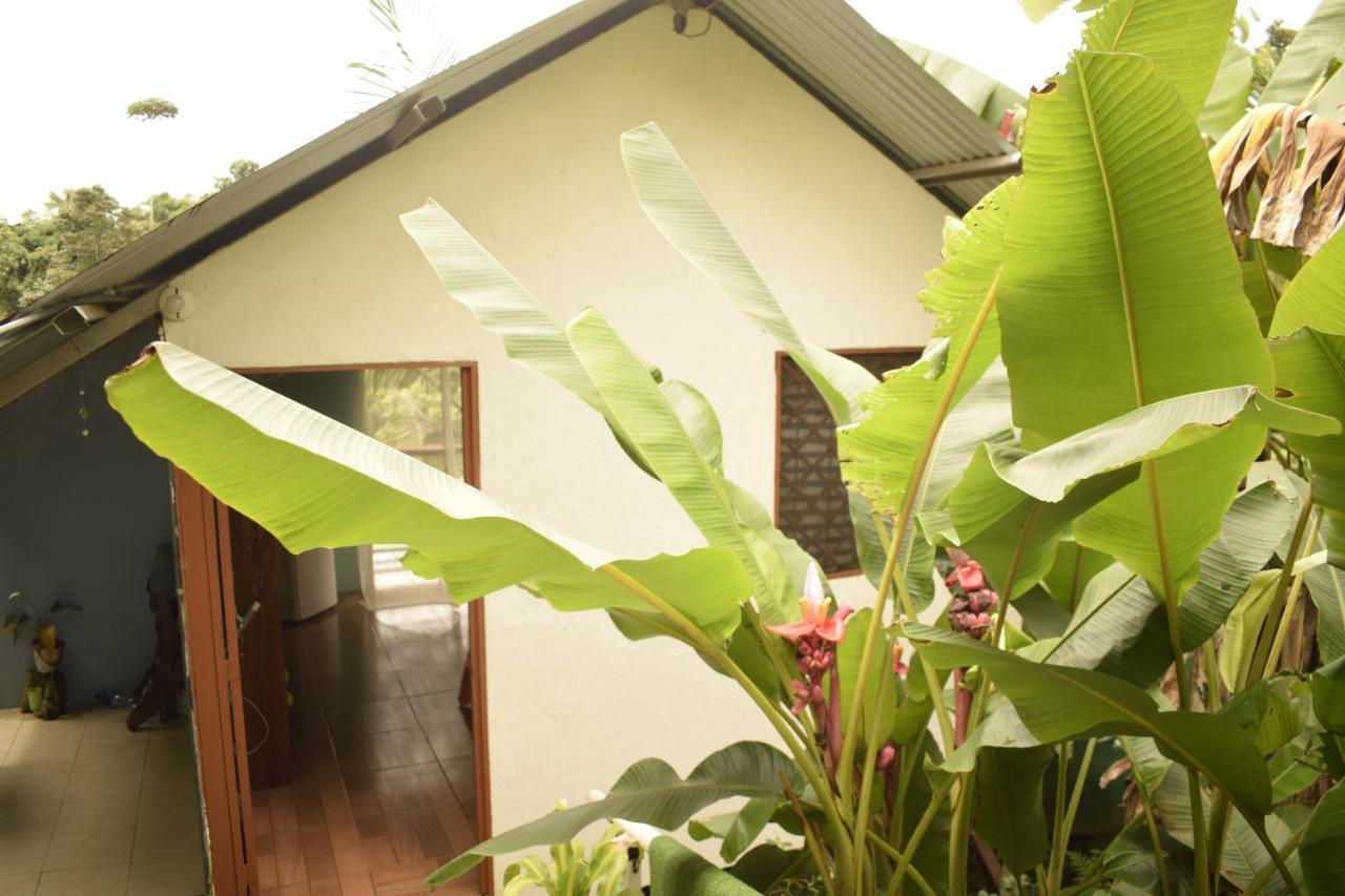 Appartement Casita Tangara Con Balcon Y Agua Caliente à Drakes Bay Extérieur photo